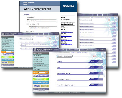 Credit Report Record Information